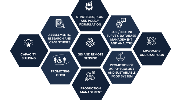 ERI_Strategy infographic_blue theme ERI_Strategy infographic_blue theme